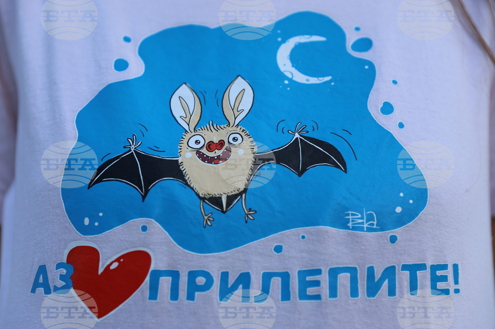 Прилепите не са толкова уязвими при пожари, но рискове има, каза Елена Стоева от „Зелени Балкани“