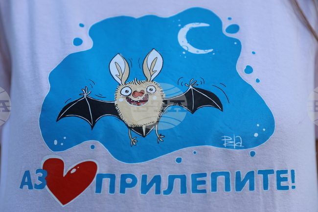 Bats Can Suffer Indirect Impact from Wildfires – Expert