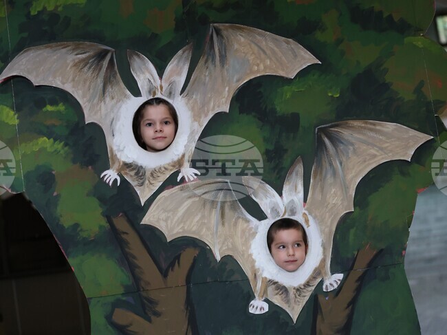 Благоевград - Регионален исторически музей - „Международна нощ на прилепите“