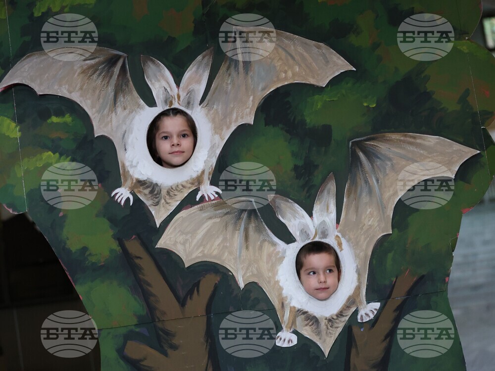 Благоевград - Регионален исторически музей - „Международна нощ на прилепите“