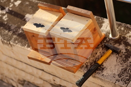 Благоевград - Регионален исторически музей - „Международна нощ на прилепите“