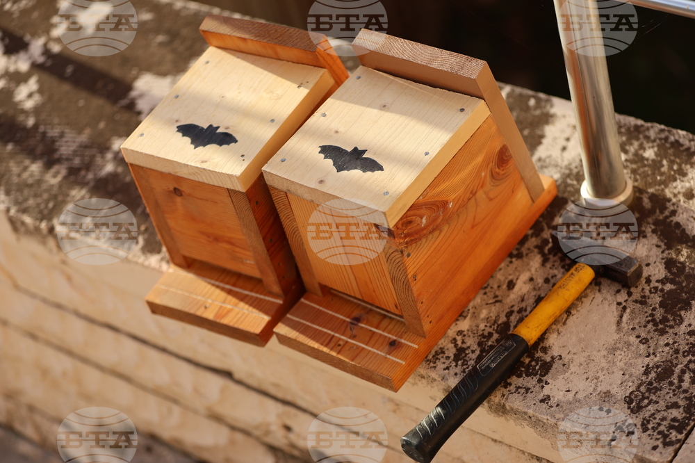 Благоевград - Регионален исторически музей - „Международна нощ на прилепите“