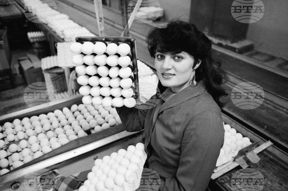 Световен ден на яйцето