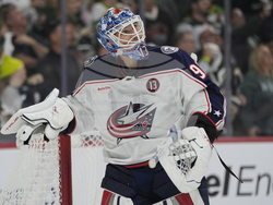 Blue Jackets Wild Hockey