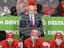 Penguins Red Wings Hockey