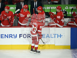 Penguins Red Wings Hockey