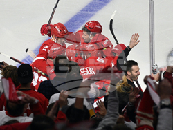 Penguins Red Wings Hockey