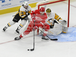 Penguins Red Wings Hockey