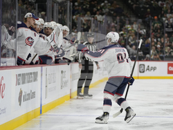 Blue Jackets Wild Hockey