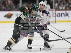 Blue Jackets Wild Hockey