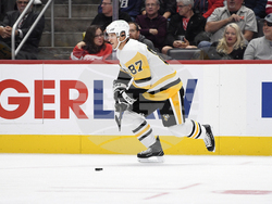Penguins Red Wings Hockey