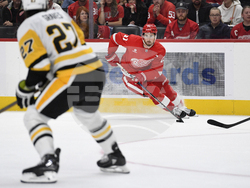 Penguins Red Wings Hockey