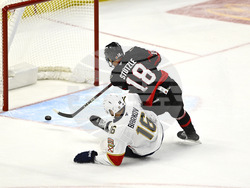 Senators Panthers Hockey
