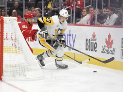 Penguins Red Wings Hockey