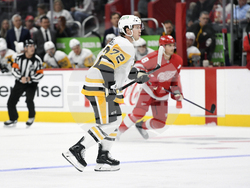 Penguins Red Wings Hockey