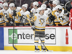 Penguins Red Wings Hockey