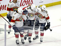 Senators Panthers Hockey