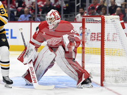 Penguins Red Wings Hockey