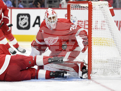 Penguins Red Wings Hockey