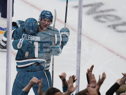 Blues Sharks Hockey