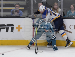 Blues Sharks Hockey