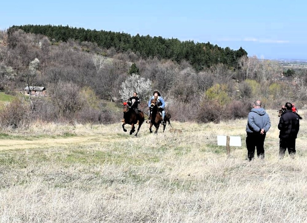 Община Асеновград: Държавно първенство по конен спорт край Асеновград