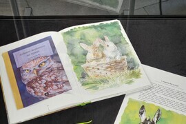 Варна - изложба „Дивите животни на града“