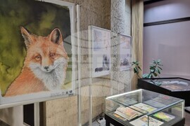 Варна - изложба „Дивите животни на града“