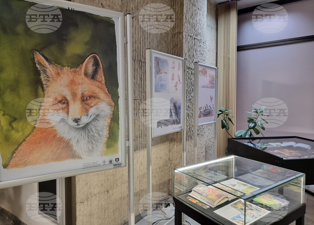 Варна - изложба „Дивите животни на града“