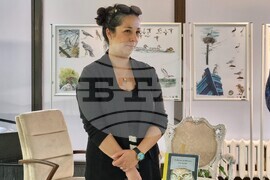 Варна - изложба „Дивите животни на града“