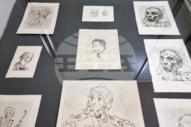 Видин - Мони Аладжемов - изложба