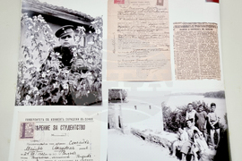 Видин - Мони Аладжемов - изложба