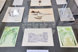 Видин - Мони Аладжемов - изложба