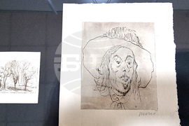 Видин - Мони Аладжемов - изложба