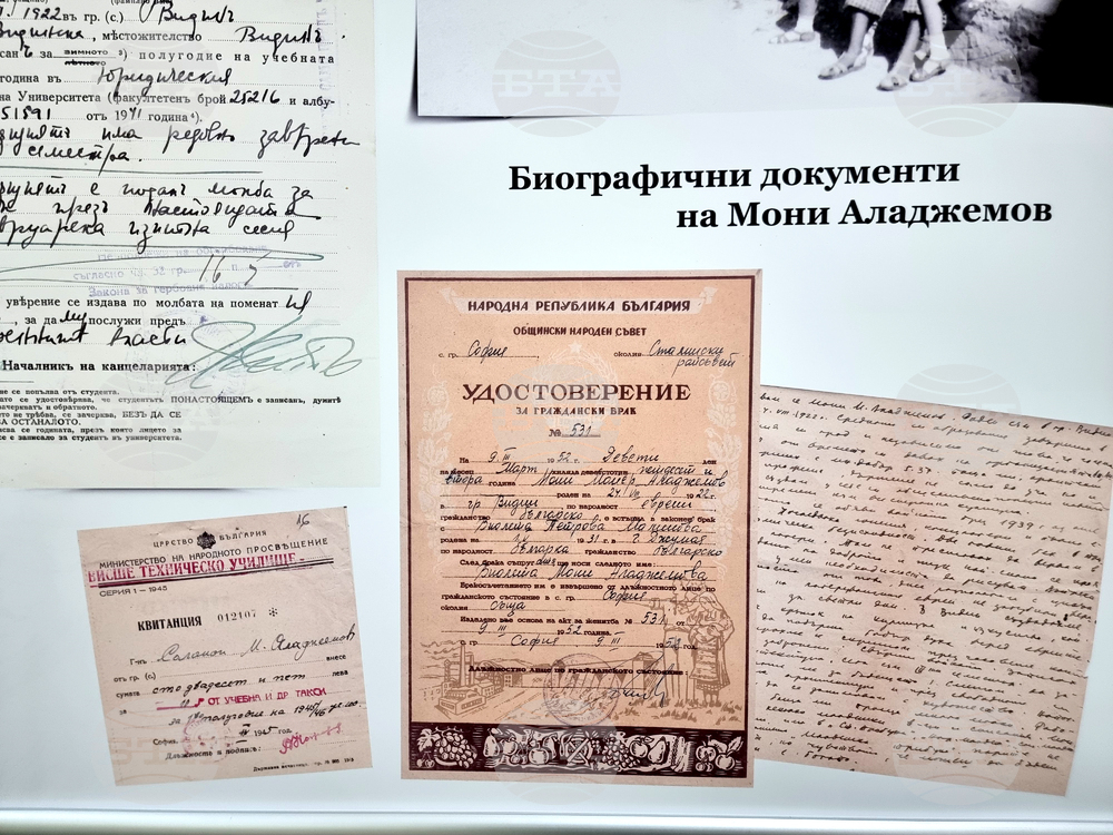 Видин - Мони Аладжемов - изложба