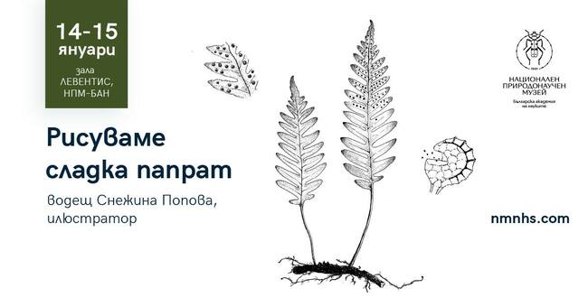 Първата работилница за научна илюстрация на Националния природонаучен музей за годината е посветена на сладката папрат