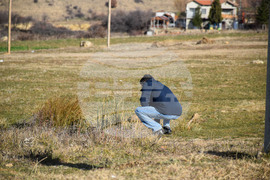 Дъбрава - разследване