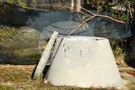 Дъбрава - разследване