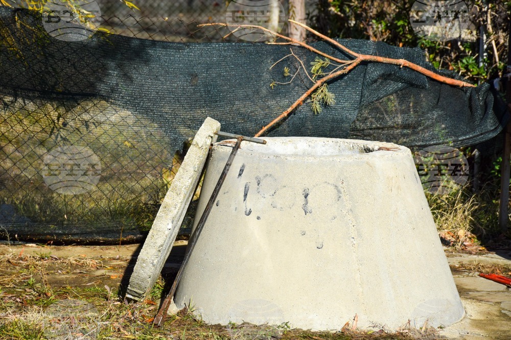 Дъбрава - разследване