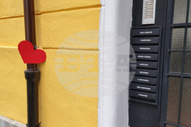 Цветя пред дома на Кирил Маричков