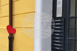 Цветя пред дома на Кирил Маричков