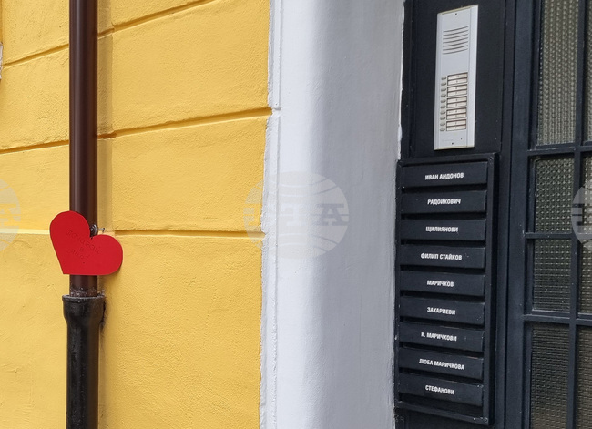 Цветя пред дома на Кирил Маричков