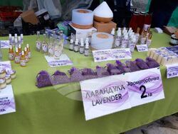 Снимка: Община Стара Загора