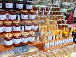 Снимка: Община Стара Загора