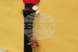 Цветя пред дома на Кирил Маричков