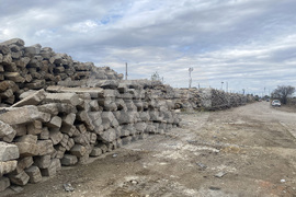 Село Трилистник - протест