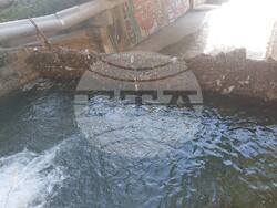 Снимка: Община Варна