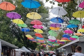 Нова Загора - празник на града - занаятчийска среща „Живата традиция“