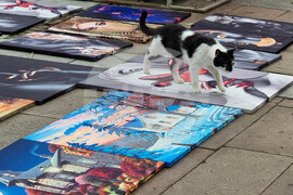 Нова Загора - празник на града - занаятчийска среща „Живата традиция“