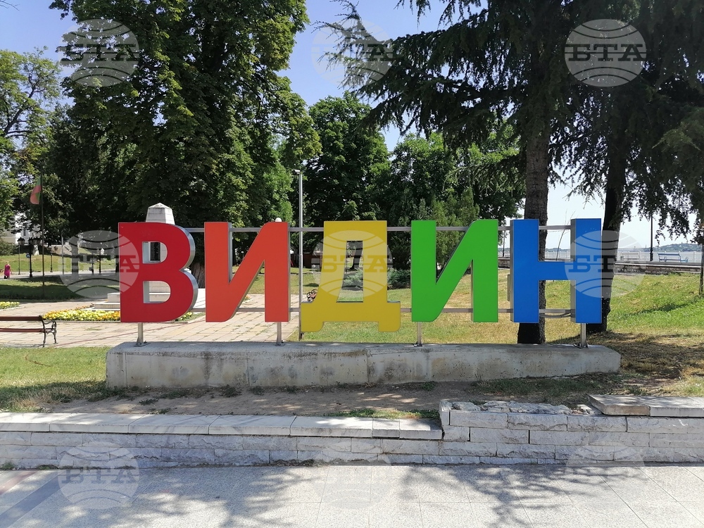 Какви прояви имаха кандидатите за народни представители в 5-и МИР – Видин